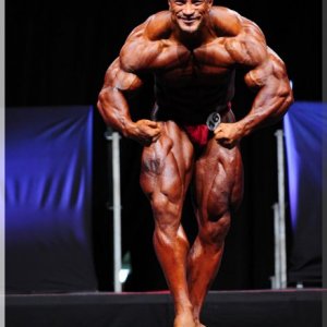 2012 Bodybuilding images