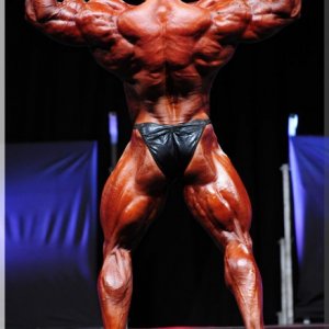 2012 Bodybuilding images