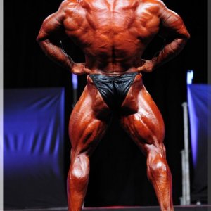 2012 Bodybuilding images