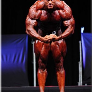 2012 Bodybuilding images