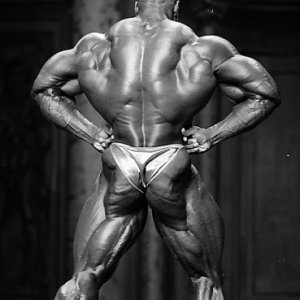 2012 Bodybuilding images
