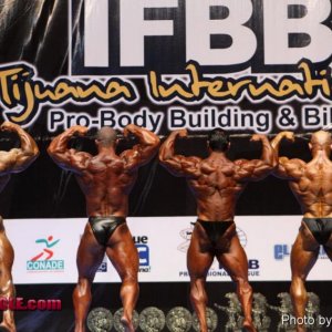 2011 Bodybuilding images