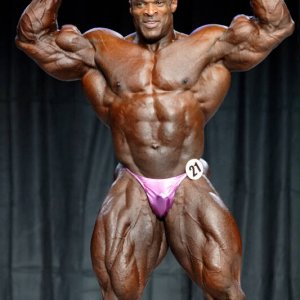 2011 Bodybuilding images