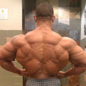 2011 Bodybuilding images