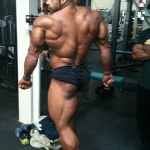 2011 Bodybuilding images