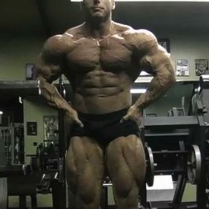 2011 Bodybuilding images