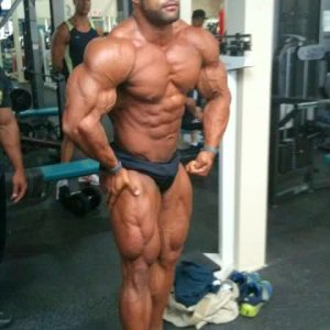 2011 Bodybuilding images