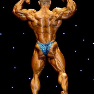 2011 Bodybuilding images