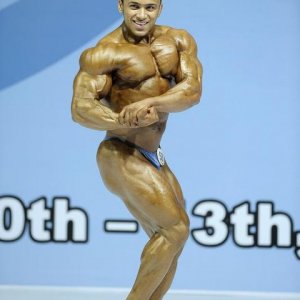 2011 Bodybuilding images