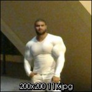 2011 Bodybuilding images