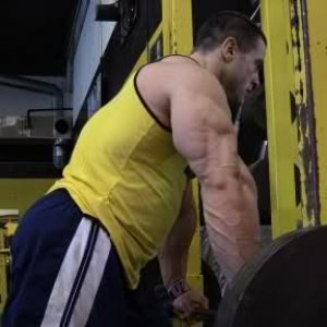 2011 Bodybuilding images