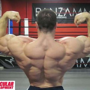 2011 Bodybuilding images