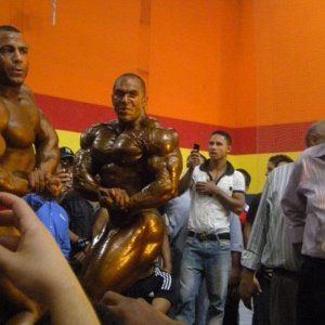 2011 Bodybuilding images