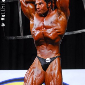 2011 Bodybuilding images