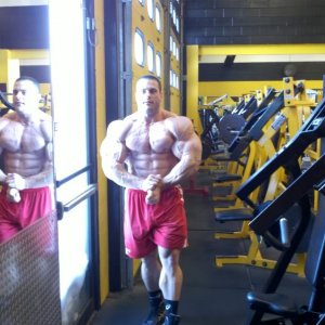 2011 Bodybuilding images