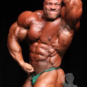 2011 Bodybuilding images