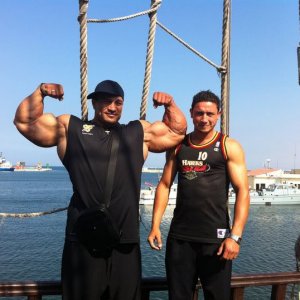 2011 Bodybuilding images