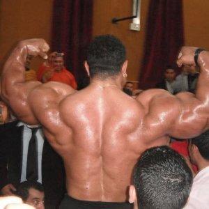 2011 Bodybuilding images