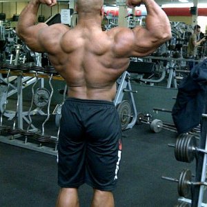 2011 Bodybuilding images