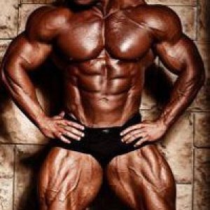 2011 Bodybuilding images