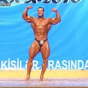 2011 Bodybuilding images