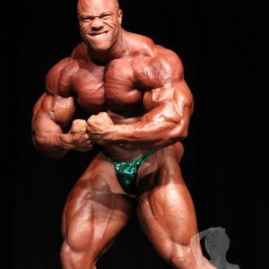 2011 Bodybuilding images