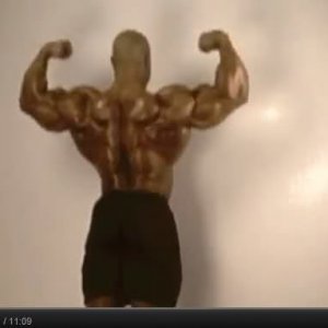 2011 Bodybuilding images