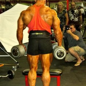 2011 Bodybuilding images