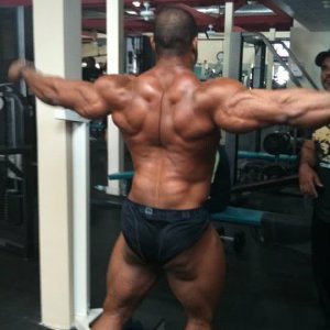 2011 Bodybuilding images