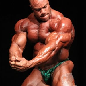 2011 Bodybuilding images