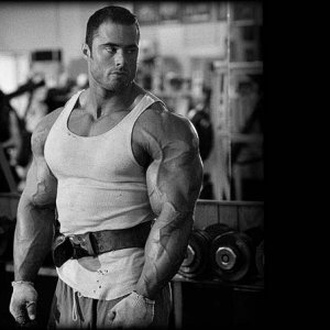 2011 Bodybuilding images