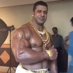 2011 Bodybuilding images