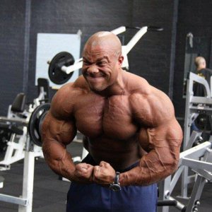 2011 Bodybuilding images