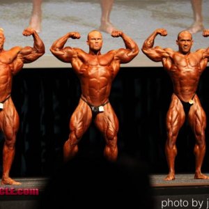 2011 Bodybuilding images