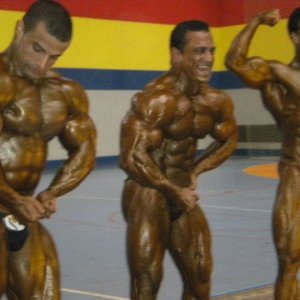 2011 Bodybuilding images