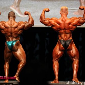 2011 Bodybuilding images