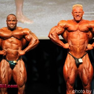 2011 Bodybuilding images