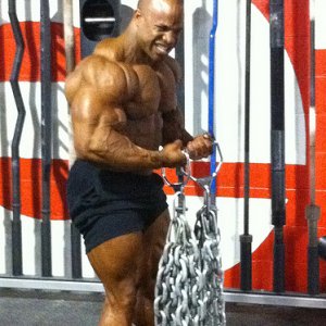 2011 Bodybuilding images