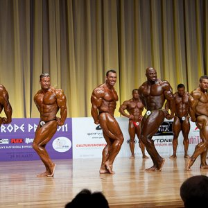 2011 Bodybuilding images