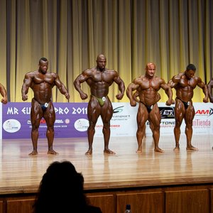 2011 Bodybuilding images