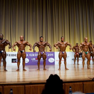 2011 Bodybuilding images