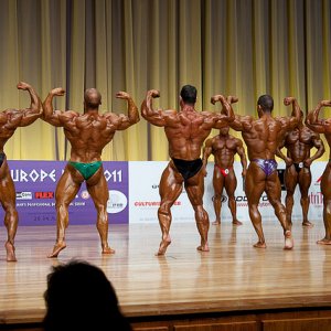 2011 Bodybuilding images