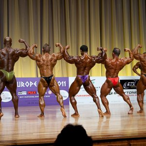 2011 Bodybuilding images