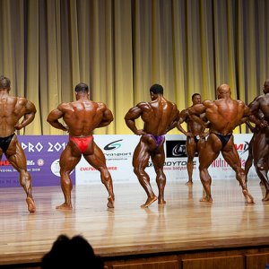 2011 Bodybuilding images