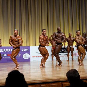 2011 Bodybuilding images