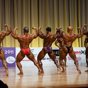 2011 Bodybuilding images