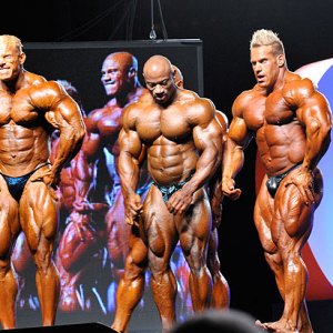 2011 Bodybuilding images