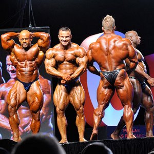 2011 Bodybuilding images