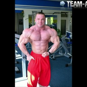 2011 Bodybuilding images