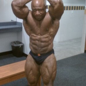 2011 Bodybuilding images